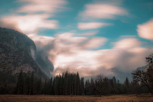 tree green pine trees near mountain under white clouds at daytime mountain